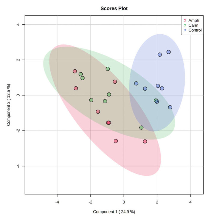 Metabolomic profiles analysis. Partial least squares discriminant analysis of the metabolomic data. Purple dots represent individuals in the control group; Green dots represent individuals in the cannabis group; Red dots represent individuals in the amphetamine group. Cann, cannabis. Amph, amphetamine.
