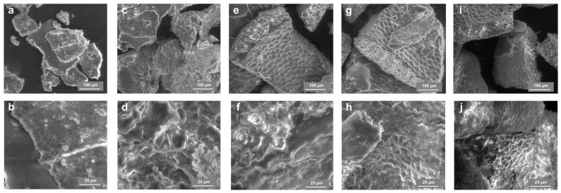 SEM micrographs of HH0 (a,b), HH4 (c,d), HH8 (e,f), HH12 (g,h) and HH16 (i,j) samples. SEM images were captured at a magnification of ×500 (a,c,e,g,i) and ×2000 (b,d,f,h,j).