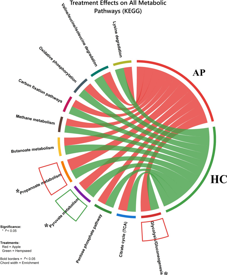 Chord diagram showing KEGG metabolic pathway enrichment in response to AP (red) and HC (green) dietary treatments versus control baseline. Chord thickness represents fold-enrichment levels. Significant enrichments (P < 0.05, bold colored borders); AP enriched propanoate metabolism (1.52-fold, P = 0.019) and glycolysis/gluconeogenesis (1.31-fold, P = 0.042); HC enriched pyruvate metabolism (1.42-fold, P = 0.041). Apple Pomace (AP) red color, Hempseed Cake (HC) green color. Treatment colors are consistent across all figures (Control, AP, HC) to ensure visual comparability