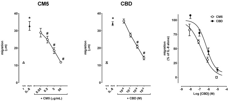 Effect of CM5 and CBD on IL-8-induced PMN migration shown as absolute values (left and centre panels) and as the percent of inhibition of migration of fMLP–stimulated PMN (right panel). Values are mean ± SD of at least 5–13 experiments. * p < 0.001 vs. resting and # p < 0.001 vs. IL-8 alone.