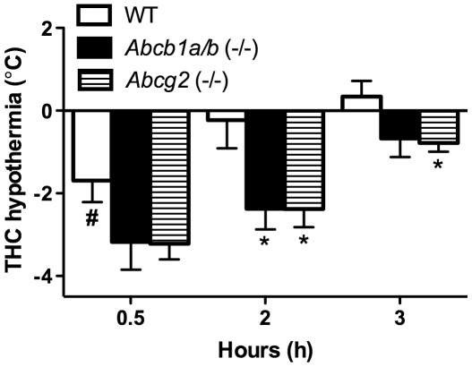Greater THC-induced hypothermia in Abcb1a/b (−/−) and Abcg2 (−/−) mice compared to WT mice.THC-induced hypothermia in WT, Abcb1a/b (−/−) and Abcg2 (−/−) mice at 0.5, 2 and 3 h post-THC injection. Data expressed as a change from baseline (pre-THC injection) rectal body temperature reading in these mice at the various time-points (mean ± SEM). Abcb1a/b (−/−) or Abcg2 (−/−) compared to WT group at specific time-points * P<0.05, baseline versus post-THC injection body temperature in WT mice # P<0.05. For WT mice n = 7, Abcb1a/b (−/−) n = 6 and Abcg2 (−/−) n = 6.