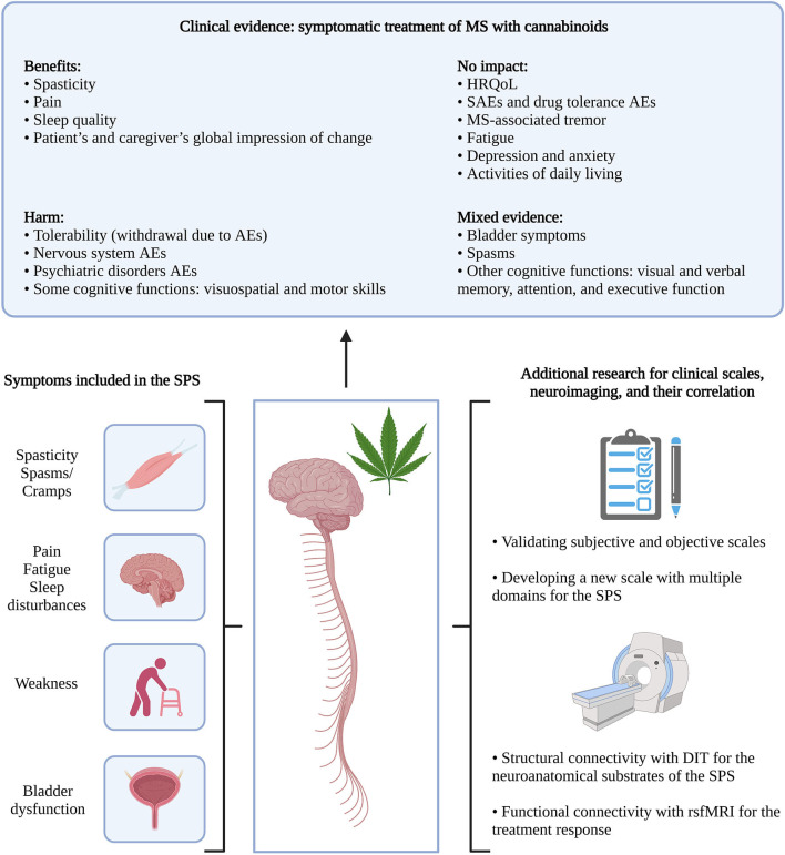From the clinical evidence of MS symptomatic therapy with cannabinoids to the SPS. Clinical evidence was retrieved from systematic literature reviews by Filippini et al. (5) and Landrigan et al. (6). MS, spasticity; AEs, adverse events; HRQoL, health-related quality of life; SAEs, serious adverse events; SPS, spasticity-plus syndrome; DIT, diffusion imaging tractography; rsfMRI, resting-state functional magnetic resonance imaging. Created with BioRender.com.