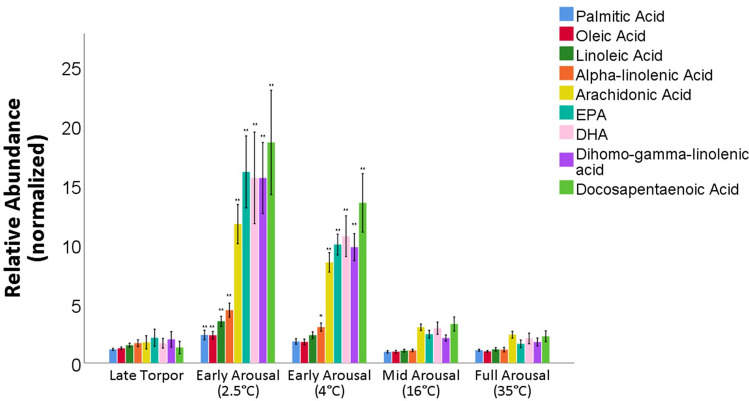 Plasma metabolomic analysis during natural arousal from torpor shows spike of PUFA metabolites during early arousal. Plasma Fatty Acids and PUFAs increase significantly during early natural arousal from torpor. Data shown are relative abundance normalized to plasma sample collected at entrance into torpor at a Tb of 11–12 °C. The x-axis are phases of rewarming in natural arousal from torpor. (*p < 0.05, **p < 0.001 vs late torpor, post hoc Tukey, n = 9). Measurements are from individual animals sampled over a single, undisturbed natural arousal fed Standard Rodent Chow. Blood was sampled at specific core body temperatures (Tb) during arousal ranging from early arousal (2.5 °C) to full arousal (35 °C). Data shown as mean ± SEM.