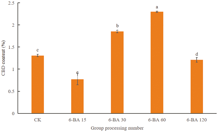 Alt Text: The figure shows the change of CBD content of industrial hemp under different concentrations of 6-BA treatment, among which 6-BA 60 treatment has the highest value.