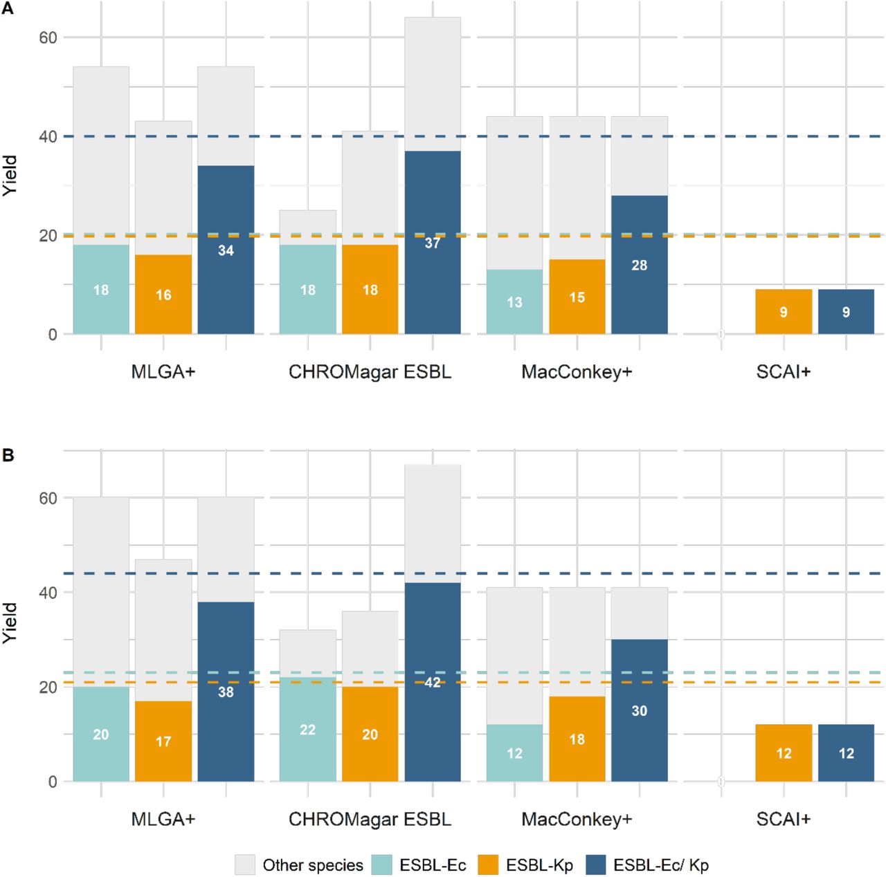 Yield of ESBL-Ec and ESBL-Kp, (ESBL-Ec= turquoise, ESBL-Kp= orange, combined ESBL-Ec and ESBL-Kp= blue) and other 3GC-resistant bacteria (grey) when picking presumed positive colonies from 4 agar types (MLGA+, CHROMagar ESBL, MacConkey+, SCAI+). For each agar, the 3 bars show different targets for the screen: E. coli, K. pneumoniae and both species combined. The dotted lines represent the true number of ESBL-Ec and ESBL-Kp by combining the results of all agars – a putative maximum yield. The 80 samples were plated and tested for species ID in two independent experiments (A and B).