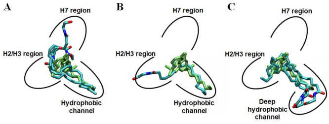 Three AEA binding poses.(A) AEA binding pose 1_H7_HC (equilibrated pose1, equilibrated pose3 and equilibrated pose8). (B) AEA binding pose 1_H2/H3_HC (equilibrated pose2). (C) AEA binding pose 2_HCd_H2/H3 (equilibrated pose4, equilibrated pose5, equilibrated pose6 and equilibrated pose7).