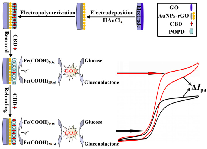 Schematic illustration of the fabrication process of the CBD-imprinted sensors.