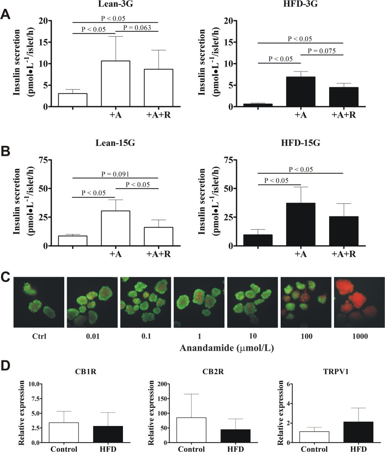 Supraphysiologic concentrations of anandamide enhance in vitro insulin secretion.(A) Anandamide stimulates basal insulin secretion in control-diet (n = 7) and high-fat diet (HFD) animals (n = 6) at 3 mmol/L glucose (3G). (B) Anandamide also potentiates glucose-stimulated insulin secretion in both groups at 15 mmol/L glucose (15G). Islets were incubated with anandamide or CB1R antagonist rimonabant (R) at 10 μmol/L for 1 h. Experiments on every animal were done in quadruplicate. Data are mean±S.E.M. (C) At the doses tested to stimulate insulin secretion, anandamide did not impair islet viability. Green and red colors represent viable and non-viable cells, respectively. Staining of islet batches from a same animal is representative of 3 independent experiments. Note the complete loss of islet viability (red stain) at 1000 μmol/L, consistent with a massive release of insulin as measured by ELISA (data not shown). Total magnification: 100X. (D) Relative mRNA expression of CB1R, CB2R, and TRPV1 to 18S in intact islets from control (n = 4) and HFD animals (n = 6–7).