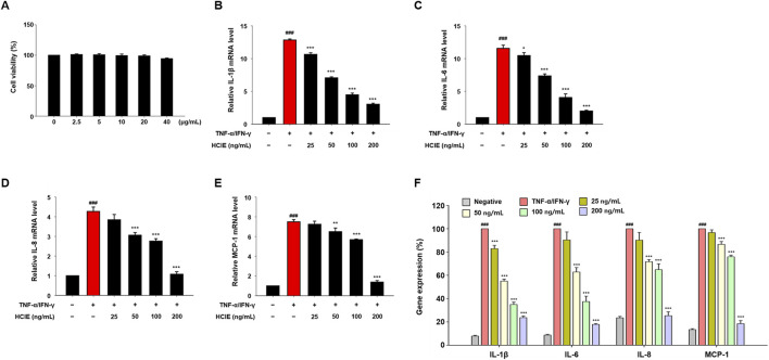 Bar graphs (panels A to F) show the effects of different concentrations of HCIE on cell viability and mRNA levels of IL-1β, IL-6, IL-8, and MCP-1 in TNF-α/IFN-γ-stimulated cells. Panel A shows consistent cell viability across HCIE concentrations. Panels B to E show reduced mRNA levels of IL-1β, IL-6, IL-8, and MCP-1 with increasing HCIE dosage. Panel F summarizes gene expression percentages for each cytokine under various treatments, indicating significant changes compared to controls.