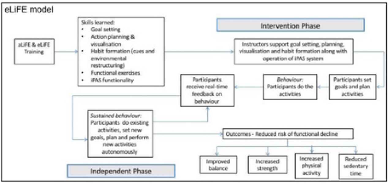 The eliFE Conceptual Model, Boullon el al. 201949