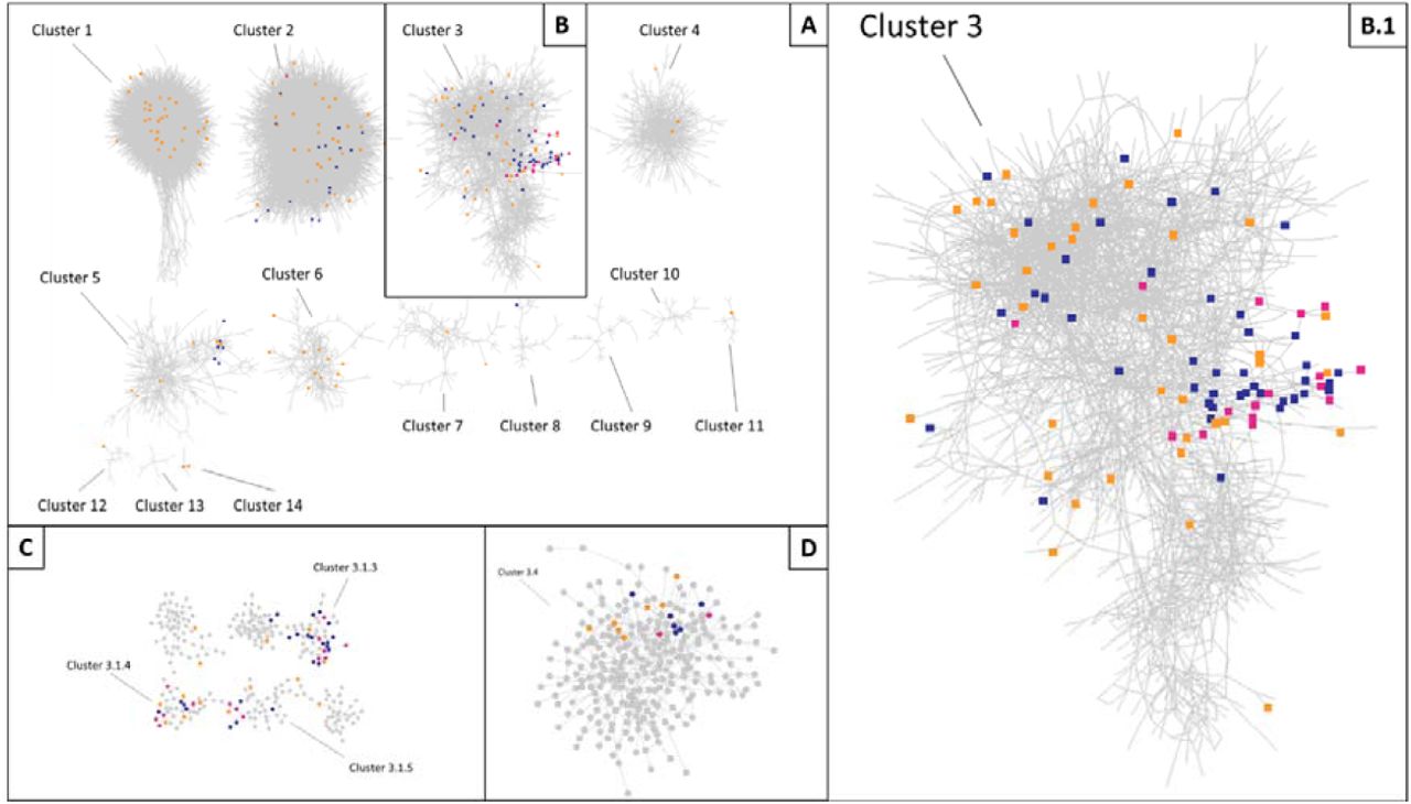 Clustered Illumina interaction network.Illumina models’ selected genes are blue, Affymetrix selected genes are orange, and those intersecting both technologies are pink. (A) Illumina Interaction network after initial clustering (visualising clusters > 10 Genes). (B) Cluster 3, containing the most selected genes which intersected between Affymetrix and Illumina models. (B.1) Cluster 3 Enlarged. (C) Highly selected sub clusters of Cluster 3. (D) Cluster 3.4, a sub cluster of Cluster 3 containing two genes which were selected by both Affymetrix and Illumina models.