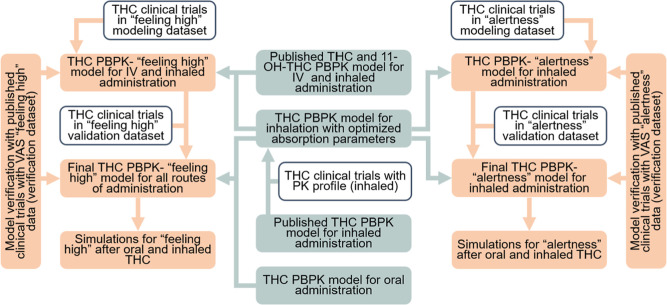 General workflow for Δ-9-tetrahydrocannabinol (THC) physiologically based pharmacokinetic–pharmacodynamic (PBPK–PD) model for visual analogue scale (VAS) “feeling high” and VAS “alertness”. PK, pharmacokinetic; IV, intravenous.