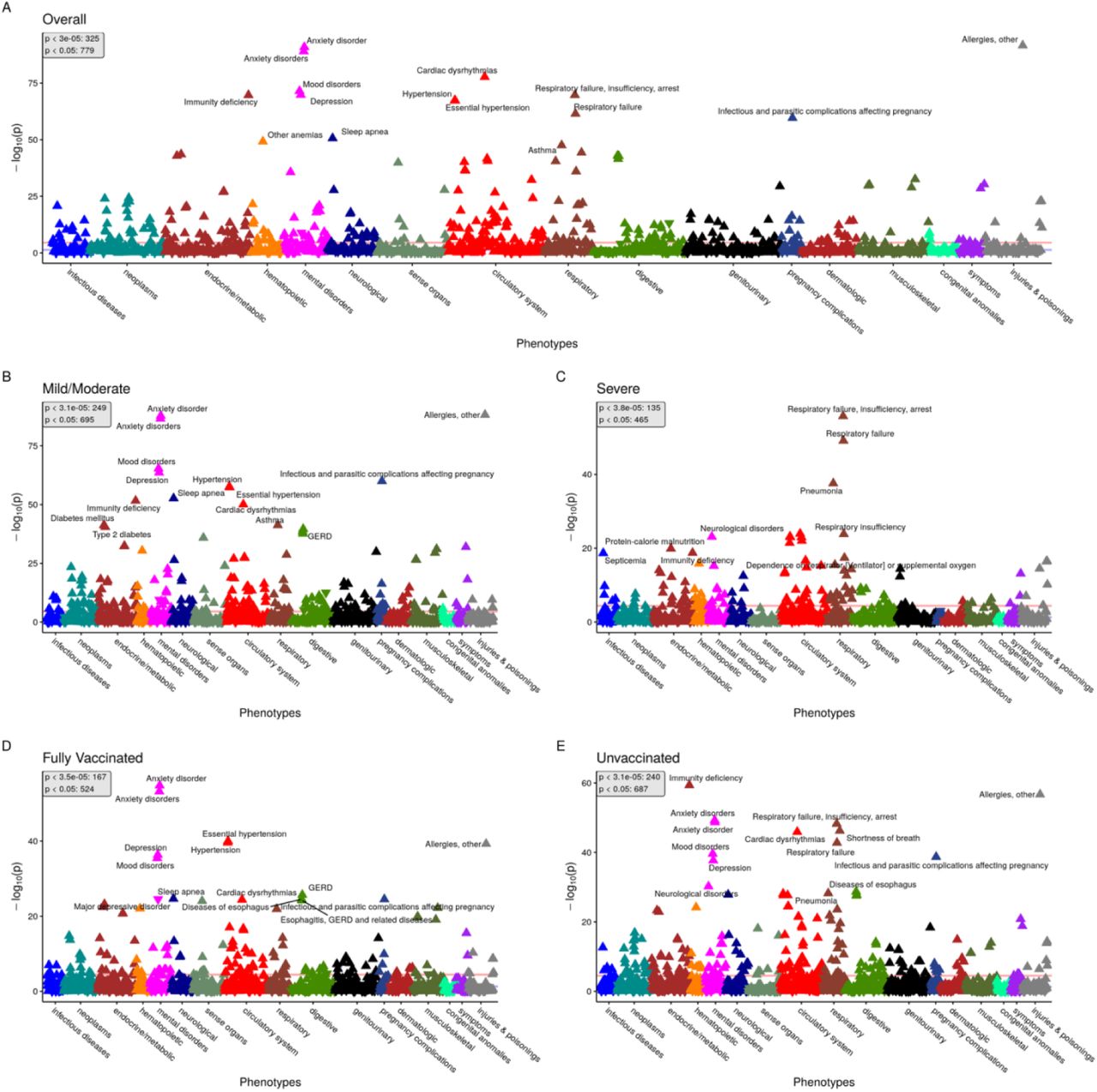 1:4 Matched 90-day analysis Manhattan plots.Panel of PheWAS Manhattan plots showing overall (panel A) and stratified by COVID-19 severity (panels B and C) and vaccination status (panels D and E). PheCodes (grouped by category) are on the x-axis and the -log10(p-value) is on the y-axis. Points above the Bonferroni-adjusted p-value threshold line (in red) were considered statistically significant. The nominal p-value threshold (0.05) is also shown in blue. For each panel, the number of hits at the Bonferroni and nominal p-value threshold are provided. Some of the top hits for each plot are annotated. For each hit, an upward pointing triangle represents a positive association (OR>1), and a downward facing triangle represents a negative association (OR<1).Note: The following two PheCodes were removed from plots for better visualization due to their extreme p-values: “Other infectious and parasitic diseases” (p = 7.4e-108 in overall cohort) and “Other headache syndromes’’ (p=1.3e-131 in overall cohort). The former is a PheCode connected to COVID-19 infection and sequelae51, so its low p-value is unsurprising. The extreme association seen for “Other headache syndromes’’ is somewhat more surprising because it had a negative association with the “post-COVID-19 period”, perhaps relating to patients being less willing to visit the doctor for a “mild” symptom like headache during a pandemic.