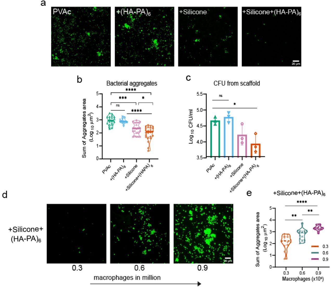 Effect of silicone and silicone-HA-PA coating on S. aureus aggregation on the surface of the material.(a) Representative confocal microscopy images of GFP-expressing S. aureus on biomaterial surfaces in the presence of different coatings (PVAc is the base material).(b) Quantification of images presented in ‘a’ as total bacterial aggregation on the biomaterial surfaces with different coatings.(c) Quantification of surviving S. aureus recovered from the biomaterial, reported as CFU.(d) Representative confocal microscopy images of GFP-expressing S. aureus Silicone+HA-PA coated surfaces in the sequential experimental condition (figure 1a) where macrophage numbers were varied as 0.3, 0.6 or 0.9 million cells per scaffold.(e) Quantification of images presented in ‘d’, where sum of bacterial aggregate area is presented.Bacterial aggregate quantification was performed using data from four independent experiments with minimum 4 FOVs analyzed per biomaterial. Statistical analysis was performed using one way ANOVA followed by Tukey’s multiple comparison test. Statistical significance is indicated as *p<0.05, **p<0.01, ***p<0.001, ***p<0.0001, and ns=nonsignificant.