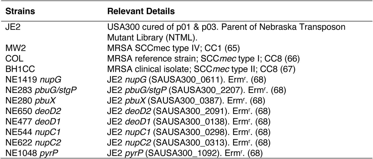 Bacterial strains and plasmids used in this study