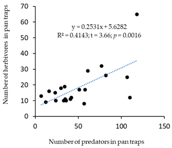 Correlation between the number of predators and herbivores trapped in pan traps.