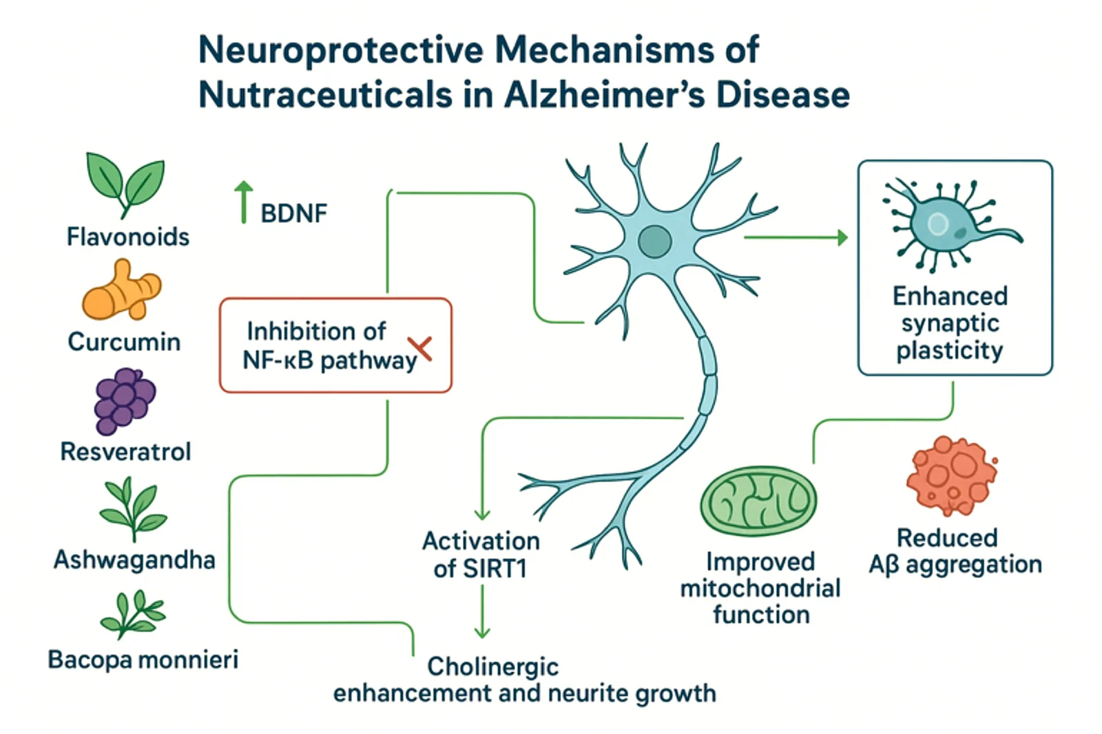 Unveiling the neuroprotective power of nutraceuticals.