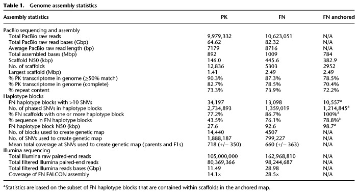 Genome assembly statistics