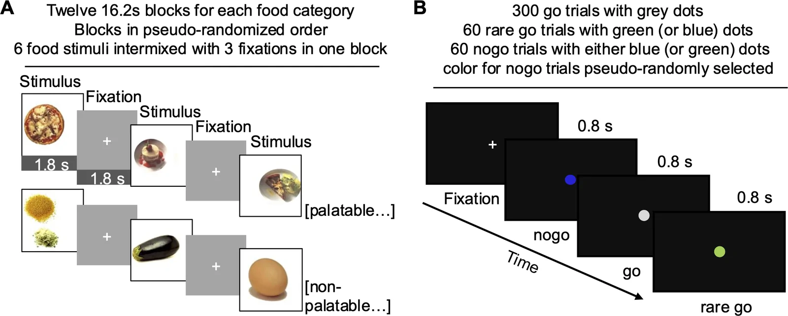 Panel A: experimental design showing 12 16.2-second blocks in pseudo-randomized order, with 6 food stimuli intermixed with 3 fixations per block; example images show palatable and non-palatable foods, each presented for 1.8 seconds. Panel B: go/nogo task with 300 go trials, 60 rare go trials, and 60 nogo trials, each stimulus shown 0.8 seconds after fixation along a time axis.