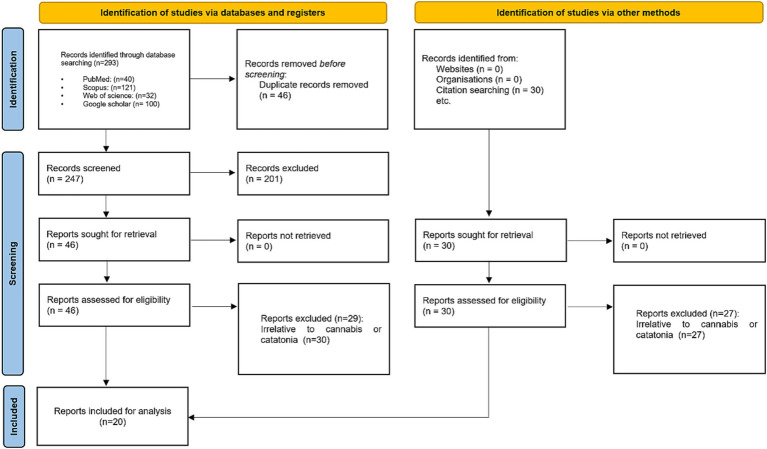 PRISMA flow diagram used for comprehensive literature search on cannabis-induced catatonia case reports.