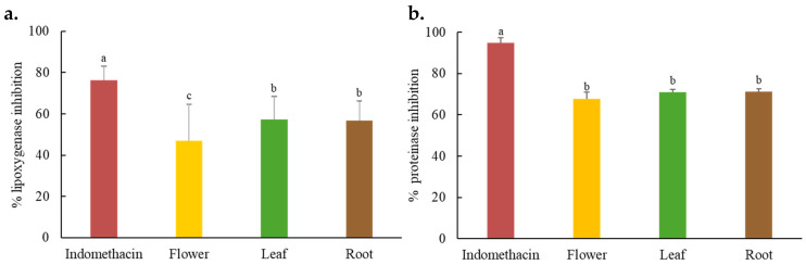 Lipoxygenase inhibitory (a) and proteinase inhibitory (b) activities of C. juncea extracts (concentration of 1 mg/mL). Data are presented as mean ± S.D. (n = 3). Different superscript letters (a–c) indicate a statistically significant difference (p < 0.05) among samples using one-way ANOVA, followed by Tukey’s multiple comparison post-hoc test.