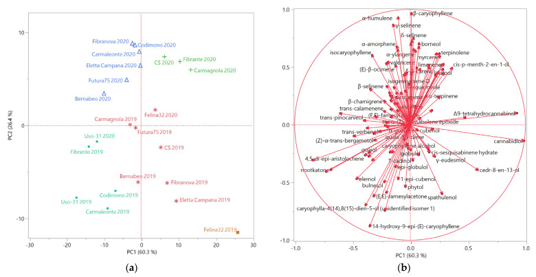 (a) Score plot of the principal component analysis (PCA) performed on the complete composition of the essential oils extracted from all the hemp samples; (b) Loading plot of the principal component analysis (PCA) performed on the complete composition of the essential oils extracted from all the hemp samples.