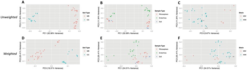 PCoA plots of microbial community similarity in second experiment for unweighted analysis (A–C) and weighted analysis (D–F).Plots for unweighted analysis are based on unweighted UniFrac distances, and demonstrate relationship between soil type (A), sample type (B), strain (C), and the major PC axes (PC 1 = 32.06% variance, PC 2 = 11.34% variance, PC 3 = 5.67% variance). Plots for weighted analysis are based on weighted UniFrac distances, and demonstrate relationship between soil type (D), sample type (E), strain (F), and the major PC axes (PC 1 = 34.51% variance, PC 2 = 25.41% variance, PC 3 = 19.31% variance). Note that PC 1 in the unweighted analysis is dominated by variation in soil type (A), but PC 1 in weighted analysis is dominated by strain (F). Grey points (Fig. 2c, 2f) represent bulk soil samples that aren't associated with either strain. Abbreviations for strains are denoted by MW (Mauie Wowie) and WW (White Widow), and abbreviations for soil type are denoted by MB (Mo-Bio soil) and OC (Orange County soil).