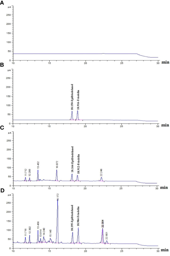 Chemical profiling if in- vivo grown roots and untreated hairy root of C. sativa roots using GC-FID. (A) chloroform run; (B) epifriedelanol and friedelin reference standards (tr of 18.1 and 18.9 min, respectively); (C), in- vivo grown roots hemp roots; (D), hemp untreated hairy roots.
