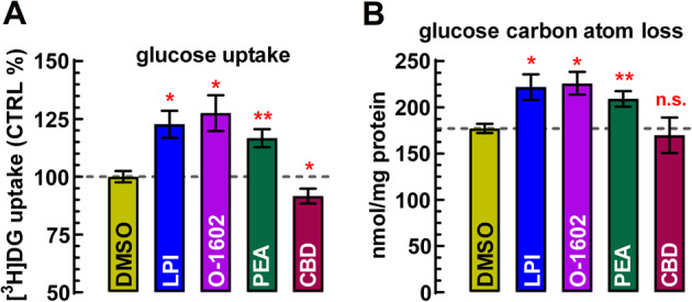 Glucose turnover is significantly stimulated upon GPR55 activation in astrocytes. A The GPR55 agonists LPI (100 nM), O-1602 (100 nM), and the endogenous ligand PEA (100 nM) all significantly stimulated [3H]DG uptake in primary astrocyte cultures (n = 6 independent cultures, each in quadruplicate). CBD (1 µM) slightly reduced glucose uptake, potentially due to inverse agonism or blockade of endogenous GPR55 activity