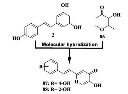 Molecular design of the hybrid compounds 87 and 88 as new MTDLs with antioxidant and anti-Aβ activities.