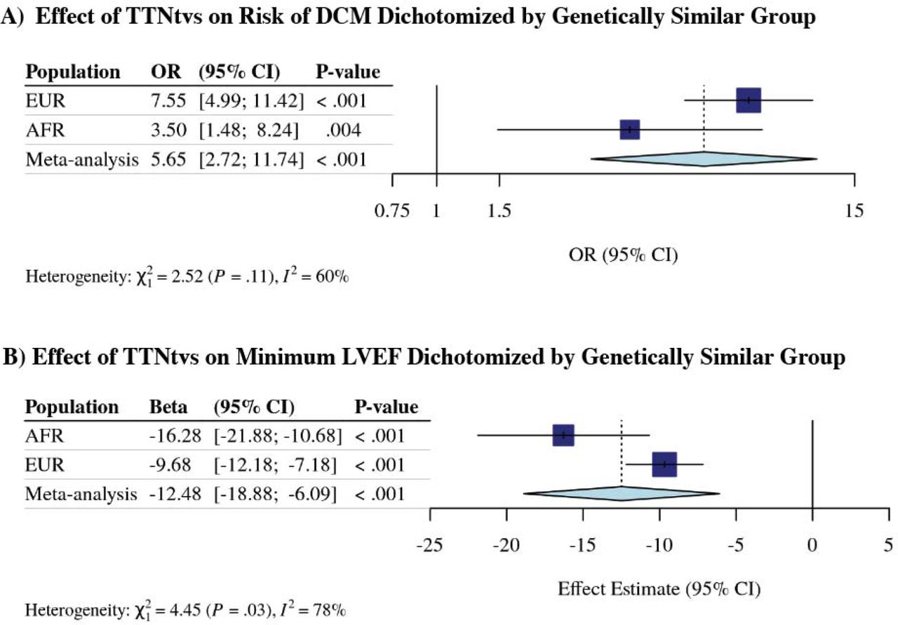 Effect of high percentage spliced in TTN truncating variant on risk of dilated cardiomyopathy diagnosis and minimum left ventricular ejection fraction reduction stratified by genetically similar group excluding those with ischemic cardiomyopathy in the Penn Medicine Biobank. (A) Logistic regression analysis of the association between hiPSI TTNtvs and DCM diagnosis, and (B) linear regression analysis of the association between hiPSI TTNtvs and minimum left ventricular ejection fraction among individuals genetically similar to the 1000 Genomes Project European and African reference population, and meta-analyzed. OR = odds ratio; CI = confidence interval; EUR = individuals genetically similar to the European reference population; AFR = individuals genetically similar to the African reference population.