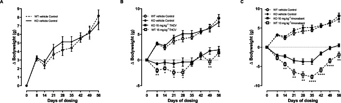 Bodyweight gain of GPR55 knockout and wild-type mice fed on a high fat diet and dosed with vehicle only (A), THCV (B) or rimonabant (C).Vehicle only values are shown in all panels to facilitate comparisons of the effects of genotypes and drugs. Two-way ANOVA followed by the FDR test showed an overall effect of genotype on body weight gain in response to both THCV (B) and rimonabant (C). *P, 0.05, **P < 0.01, ****P < 0.0001.