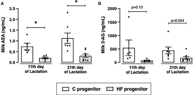 Effect of high-fat (HF) diet on the content of endocannabinoids in the milk of rat progenitors. (A) Milk anandamide (AEA) and (B) 2-arachidonoylglycerol (2-AG) in the postnatal days 11 and 21 of control (C) and HF progenitors. Data are presented as mean ± standard deviation and statistically significant differences were determined by unpaired Student’s t test. *p < 0.05.