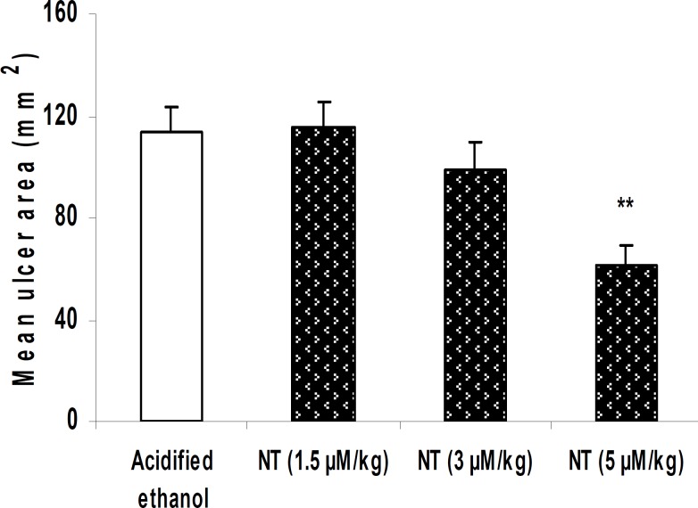 Effect of neurotensin (i.v.) on gastric mucosal injury induced by acidified ethanol. Mean area of gastric lesions induced by acidified ethanol was significantly reduced due to the pretreatment with 5 µM/kg neurotensin.
