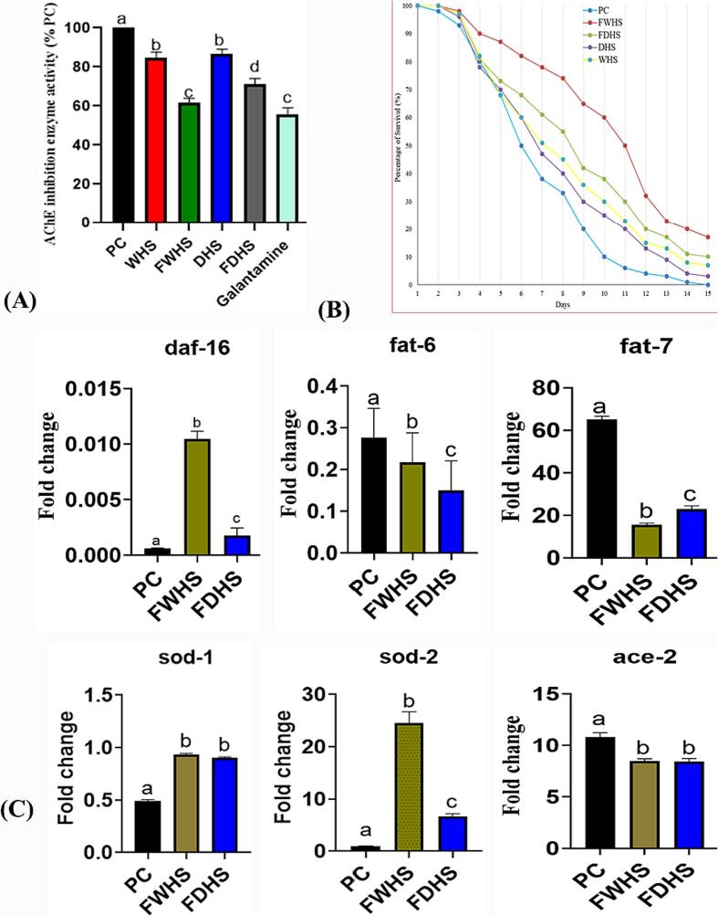 Impacts of hempseed extracts on AChE activity, lifespan, and gene expression in Caenorhabditis elegans under glucose supplementation. The effects on AChE inhibition (A), life extension benefits (B), and alterations in gene expression (C). WHS (whole hempseed), FWHS (fermented whole hempseed), DHS (dehulled hempseed), and FDHS (fermented dehulled hempseed).