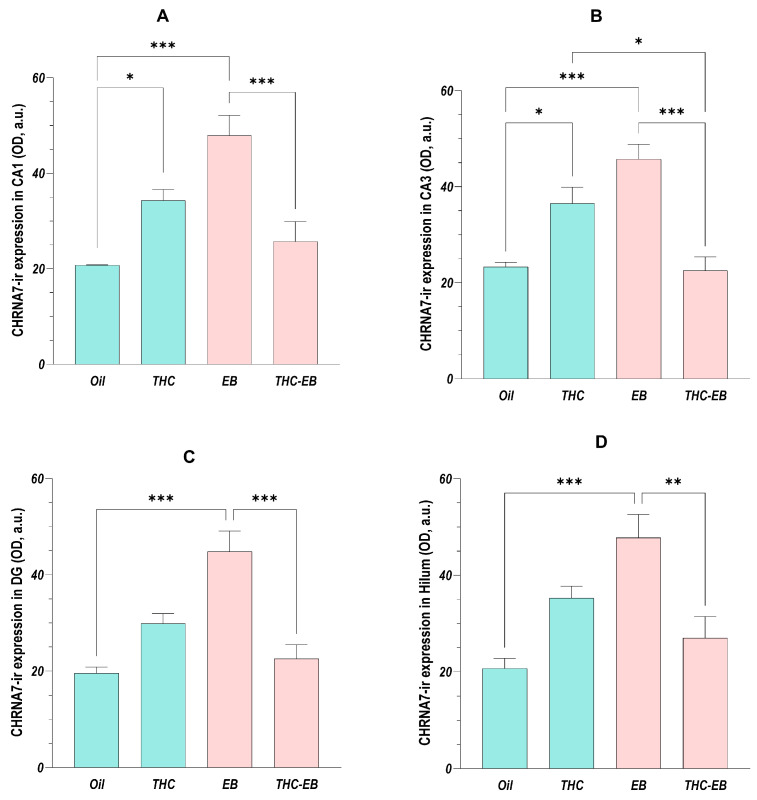 CHRNA7 expression variation in HF in groups treated with the vehicle (Oil), delta-9-tetrahydrocannabinol (THC), estradiol benzoate (EB), and THC-EB, divided by areas: CA1 (A), CA3 (B), dentate gyrus (DG; (C)), and hilum (D). Columns represent the means ± SEM. Tukey’s Post Hoc tests: *** p < 0.001, ** p < 0.01, * p < 0.05, comparing paired groups.