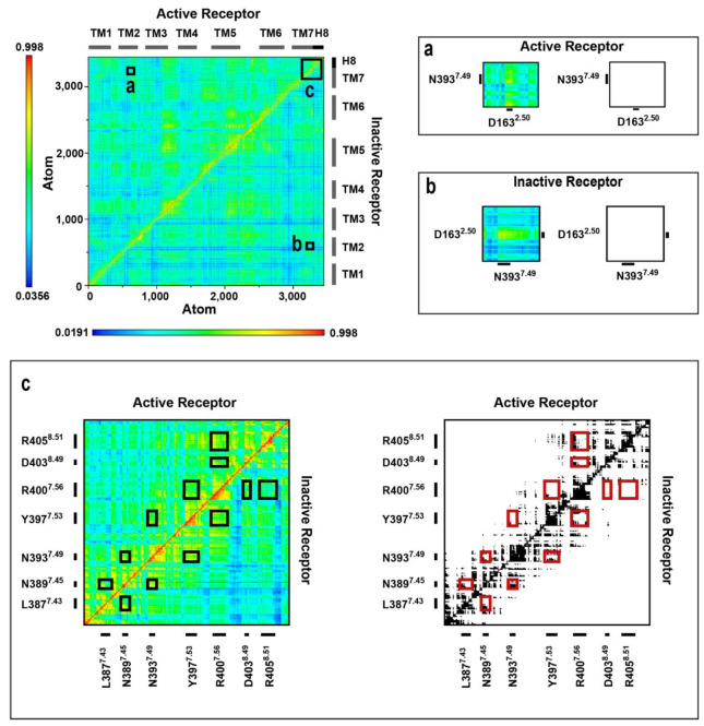 Cross-correlation matrices of the Gi protein-bound CB1 (1st replica) in the active and inactive states. Panels (a–c) are magnified views of regions of amino acid residues of interest. Black and white panels show correlations above the threshold of 0.63 MI.