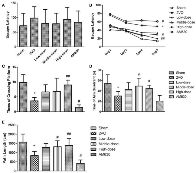MWM test results of rats' performance. (A) Visible platform task on the first day. (B) Mean escape latency calculated for each day in sham, 2VO, BCP treated low-dose, middle dose, high dose and AM630 treated group in navigation test. Results of (C) times of crossing platform, (D) time of aim quadrant, (E) path length of each group in spatial probe tests. All the rats reached the platform in the visible platform task on the first day. The rats in the 2VO group and AM630 group performed longer escape latencies than other groups in the MWM training. Compared with rats in the sham group and BCP treated groups, rats in the 2VO group and AM630 group exhibited less times of crossing platform, time of staying at the aim quadrant and path length at aim quadrant. (*P < 0.05 vs. sham group, #P < 0.05 vs. 2VO group, ##P < 0.001 vs. 2VO group).