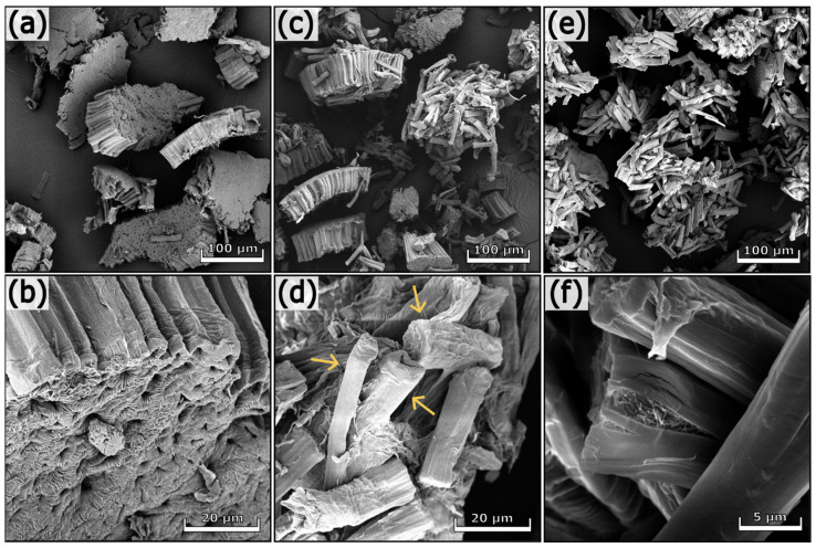 SEM images of soybean 1 (a,b), soybean 2 (c,d), and soybean 3 (e,f) at different magnifications.