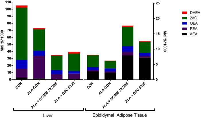 Endocannabinoid levels (%mol) in the liver and epididymal adipose tissue of mice fed an ALA enriched diet either alone or in combination with Bifidobacterium breve NCIMB 702258 or B. breve DPC 6330 or an unsupplemented diet for 6 weeks.Actual values and significant differences are highlighted in Supplementary Table 1. AEA, N-arachidonoylethanolamide; PEA, N-palmitoylethanolamide; OEA, oleoylethanolamide; 2AG, 2-arachidonoylglycerol; DHEA, docosahexaenoylethanolamide.