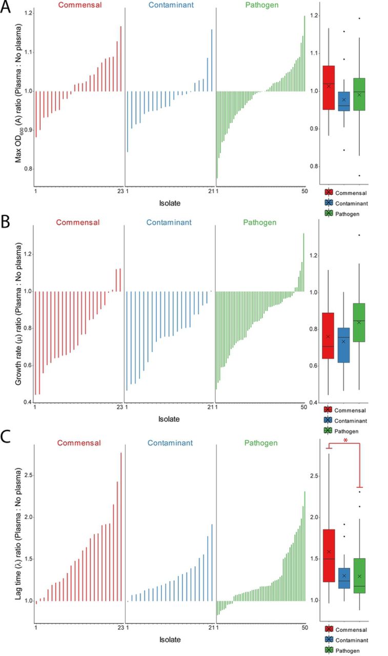 For each isolate the ratio (plasma:no plasma) for the (A) maximum OD600 (A), (B) growth rate (μ) and (C) lag time (λ) are plotted. To the right of each plot the data is summarized a box and whisker plot that includes the mean denoted with an X. There were no statistical differences for the maximum OD600 (A) ratio. For the maximum growth rate (μ) in (B) the data was normally distributed and an ANOVA had a p<0.05 but there were no significant post-hoc pairwise differences. For the lag time (λ) ratios in (C) the data could not be assumed as normally distributed. Kruskall-wallis with post-hoc Dunn’s test had p<0.05 when comparing the commensals to the pathogens (denoted by *).
