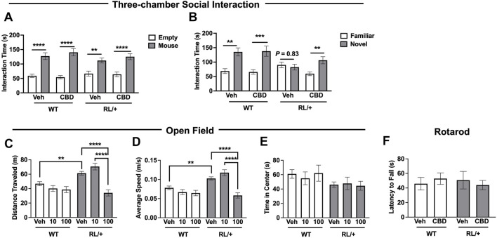 Cannabidiol improves social behavior and reduces hyperactivity in RL/+ mutants. (A) RL/+ mutants and WT littermates displayed normal sociability following vehicle or CBD treatment. (B) Vehicle-treated RL/+ mutants exhibited deficits in social discrimination; however, CBD (10 mg/kg) was able to restore more normal social discrimination in the mutants. (A,B) N = 12-13/group. (C,D) Following the administration of CBD (100 mg/kg), distance traveled by the RL/+ mutants (C) and their average speed (D) were comparable to WT littermates. CBD (10 mg/kg) had no effect on locomotor activity regardless of genotype. (E) The time spent in the center of the apparatus was comparable across both genotypes and treatment groups. (C–E) N = 12–26/group. (F) CBD (100 mg/kg) does not impair motor coordination in RL/+ mutants and WT littermates. N = 8–9/group. **p ≤ 0.01, ***p ≤ 0.001, ****p ≤ 0.0001.