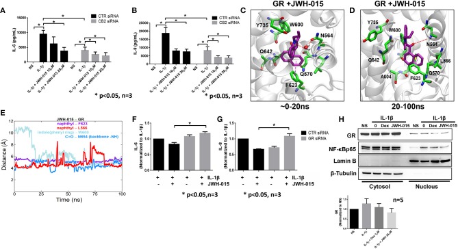 JWH-015 may utilize glucocorticoid receptor for anti-inflammatory action. CB2 was knocked down using 120 pM of targeted siRNA using Lipofectamine 2000 for 8 h. Media was replaced 24 h after transfection then serum starved overnight 48 h later. Next morning cells were stimulated with IL-1β (10 ng/ml) and JWH-015 (10 and 20 μM) for 24 h. Conditioned media was assayed for (A) IL-6 and (B) IL-8. JWH-015 was docked to the glucocorticoid receptor using MOE software. (C) A transient water-mediated electrostatic interaction was observed between the ligand and the sidechain carbonyl oxygen of N564 in GR; (D) The indole ring of the ligand flipped 180 degrees and enabling a lasting electrostatic interaction between carbonyl oxygen of the ligand and backbone –NH group of N564; (E) distances between the indole and naphthyl rings of the ligand and aromatic rings of W600 and F623 and side chain CH3 group of L566 indicating stable hydrophobic aryl-aryl and aryl-alkyl interactions. GR was knocked down using siRNA for 48 h prior to the addition of IL-1β ± JWH-015 (20 μM) for 24 h. Conditioned media was assayed for (F) IL-6 and (G) IL-8 production. (H) RASFs were pre-treated with Dex (1 μM) for 1 h or JWH-015 (20 μM) for 10 min before IL-1β for 30 min. Cytosolic and nuclear fractions were made and assayed for GR translocation. Densitometric analysis of GR nuclear localization in the presence of JWH-015 (20 μM) and Dex (1 μM). *p < 0.05, two-way ANOVA n = 3 where 3 different cell lines derived from 3 different RA patients was used. NS, non-stimulated.