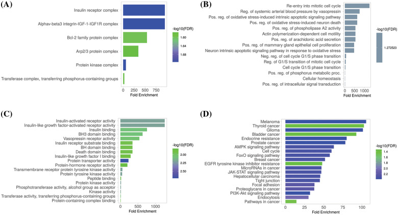 Gene enrichment analysis of MCL1, IGF1R, CCND1, and PTEN. (A) MCL1, IGF1R, CCND1, and PTEN associated CC terms, (B) MCL1, IGF1R, CCND1, and PTEN associated BP terms, (C) MCL1, IGF1R, CCND1, and PTEN associated MF terms, and (D) MCL1, IGF1R, CCND1, and PTEN associated KEGG terms.