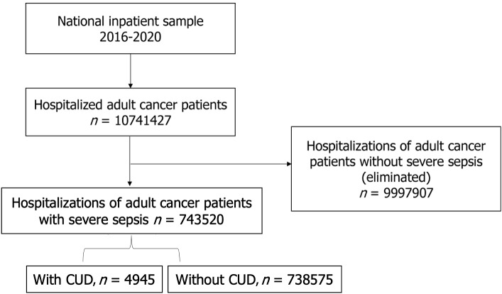 Flowchart of patient selection of study population. This flowchart depicts the selection process for hospitalized adult cancer patients with severe sepsis from the National Inpatient Sample database between 2016 and 2020. Total of the 10741427 hospitalized adult cancer patients, those without severe sepsis were excluded, resulting in a cohort of 743520 patients. This cohort was further divided into two groups: Those with cannabis use disorder (n = 4945) and those without cannabis use disorder (n = 738575). CUD: Cannabis use disorder.
