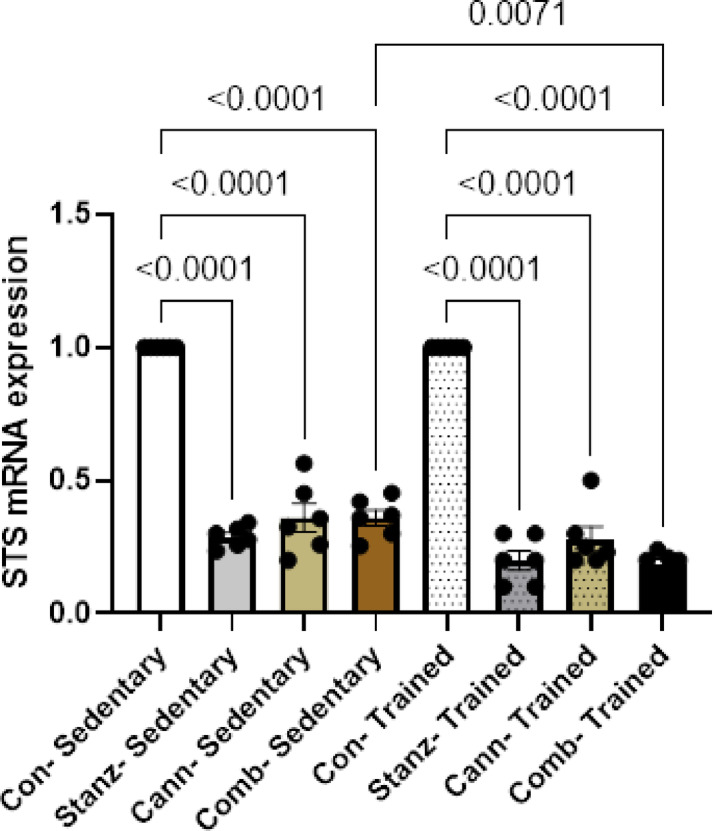 STS expression levels in testis tissue across different experimental groups: Control (Con), Stanozolol (Stanz), Cannabis (Cann), and Combined treatments (Comb), with each group further exposed to Sedentary and Training conditions. Data are expressed as mean ± SEM; Significance was tested at p < 0.05 using one-way ANOVA followed by Tukey’s post hoc test for comparison (n = 6/group).
