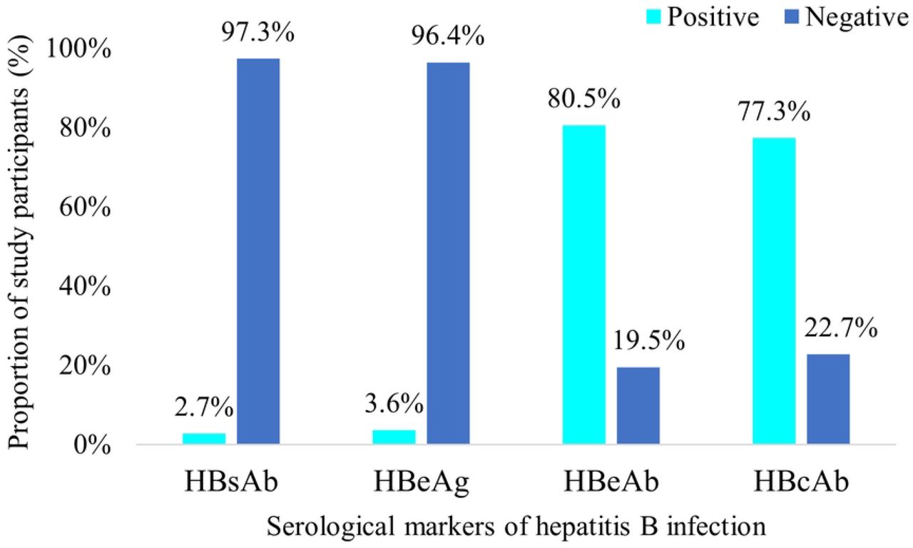 HBV serological profile of patientsHBsAb: hepatitis B surface antibody, HBeAg: hepatitis B envelope antigen, hepatitis B envelope antibody, hepatitis B core antibody