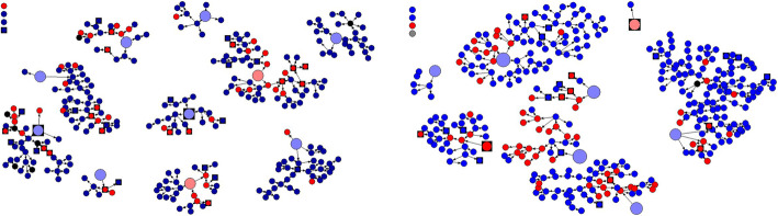 Net Draw Diagram Nairobi and Coast regions. NB: The red large round circles or squares indicate the SEEDs while the small round circles represent males and the small squares represent females. The red colour indicates those who subsequently tested HIV positive and the blue colour are respondents who tested HIV- negative