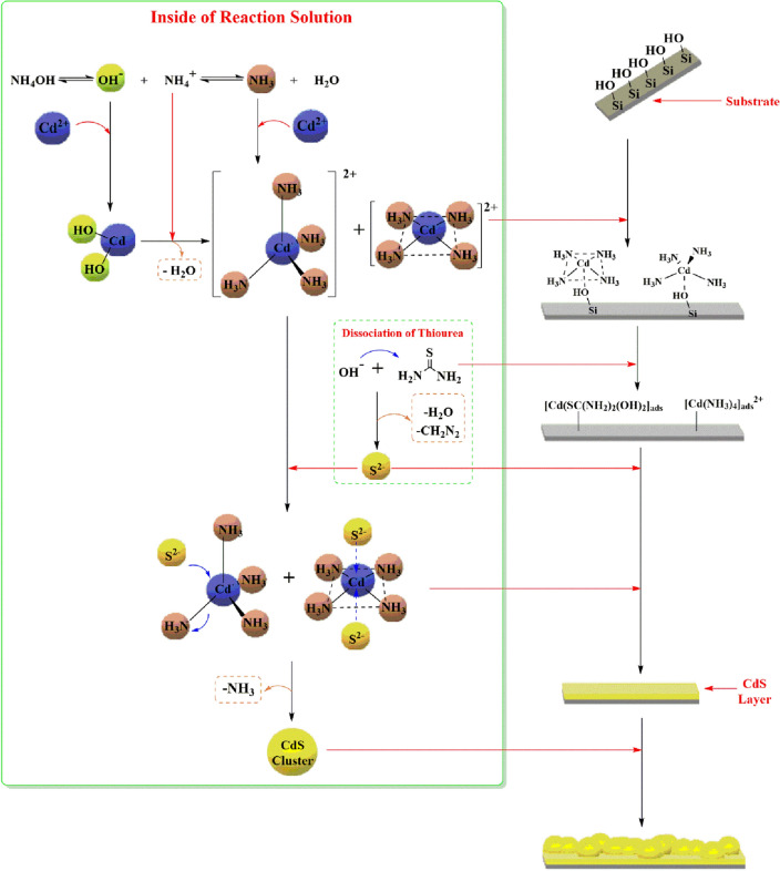The growth mechanism of basic CdS in CBD.