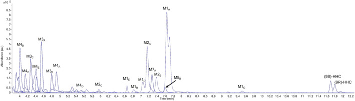 The overlaid chromatogram of metabolites of HHC found in Urine Sample 17, demonstrating the abundance and retention times of all the metabolites.